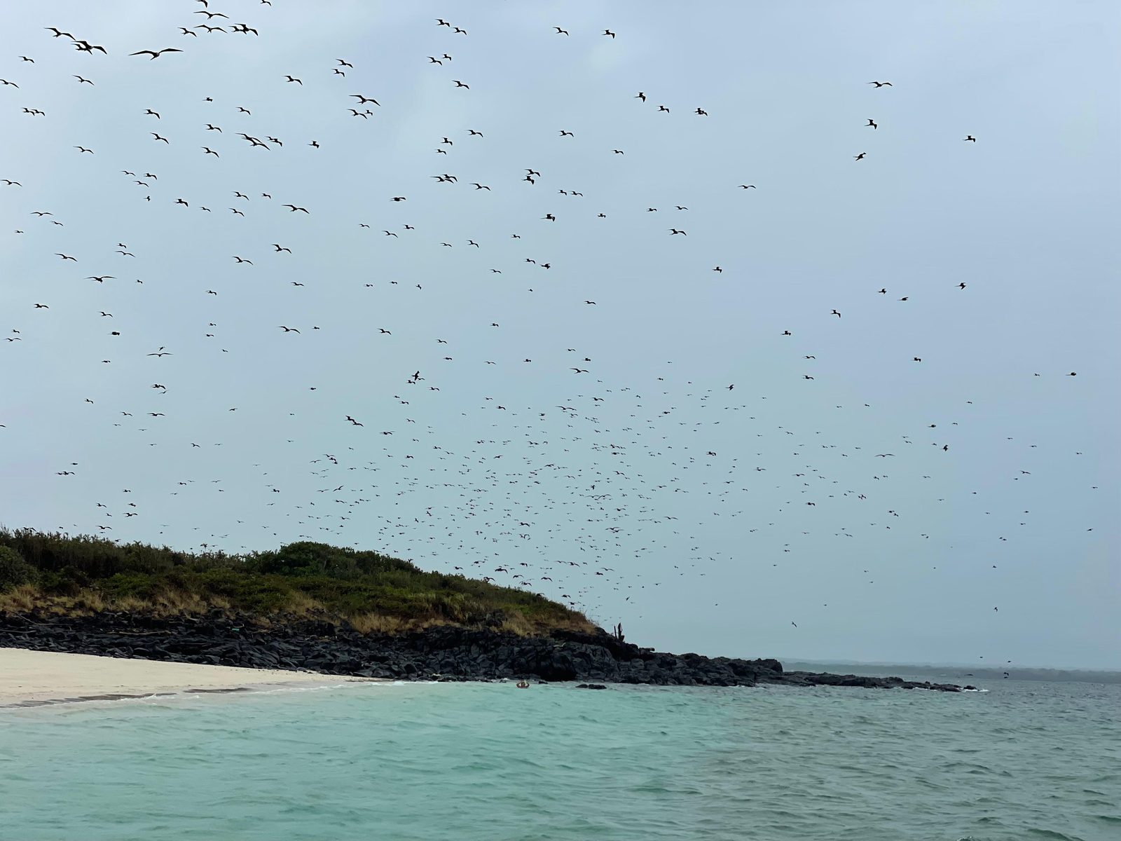 La nuvola delle fregate sopra l'isola