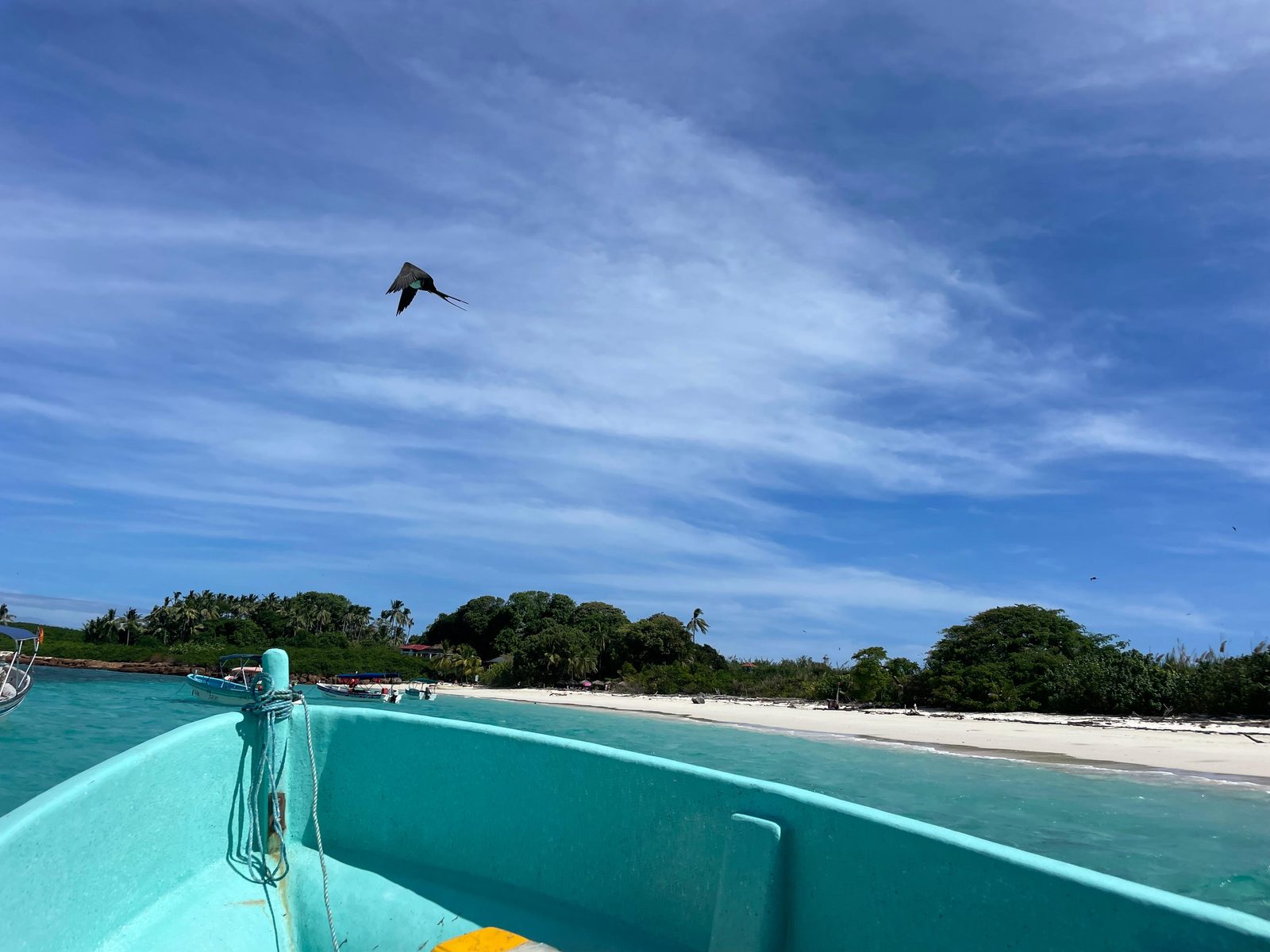 L'arrivo in lancha a Isla Iguana