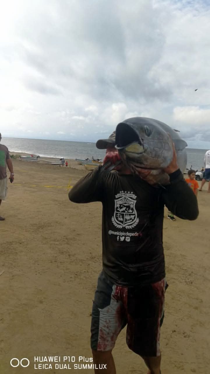 Pesca a Pedasí
