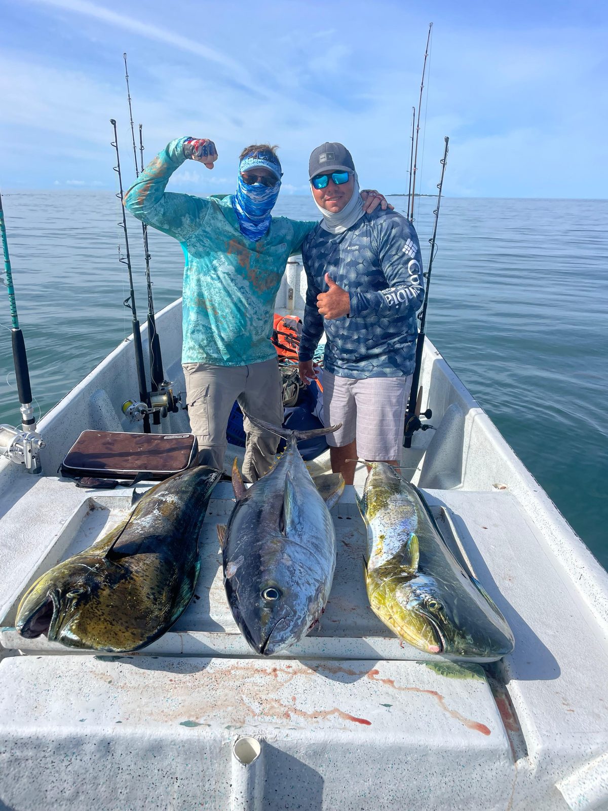Due dorado (lampughe) appena pescati