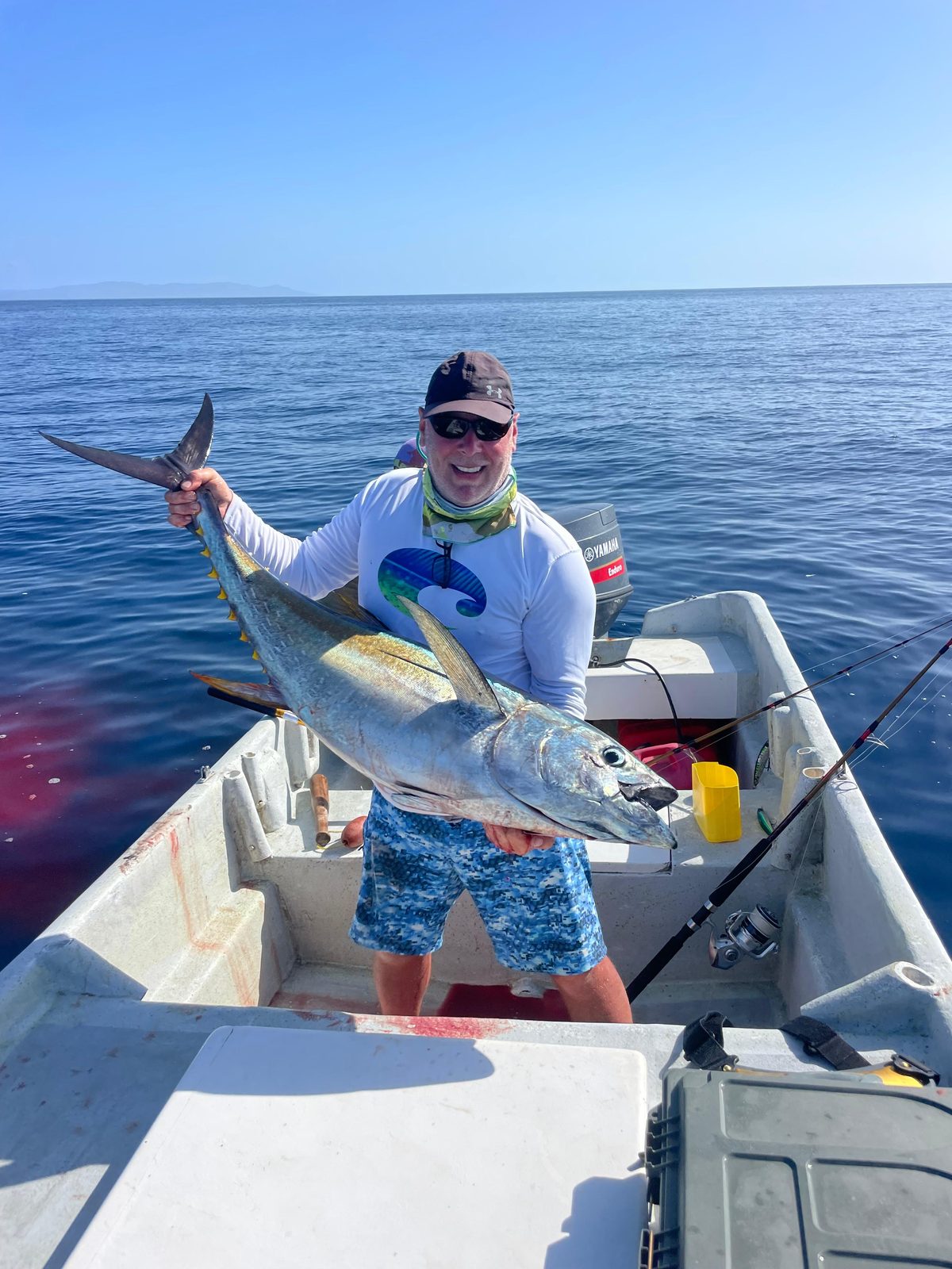Tonno pinna gialla, pesca a traina