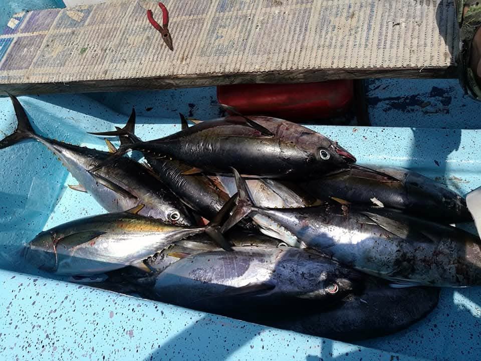 Pesca a Pedasí