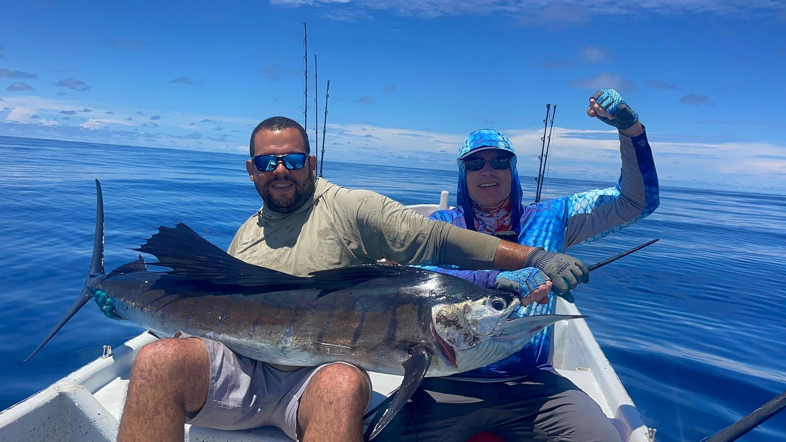 Un pesce vela al largo di Pedasí